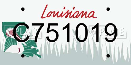 C751019 Louisiana License Plate