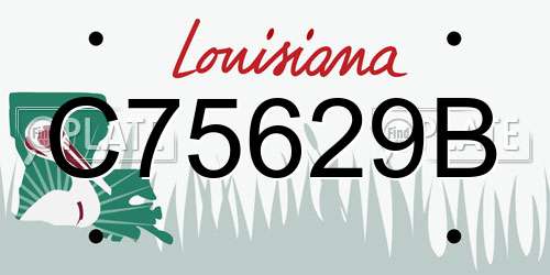 C75629B Louisiana License Plate