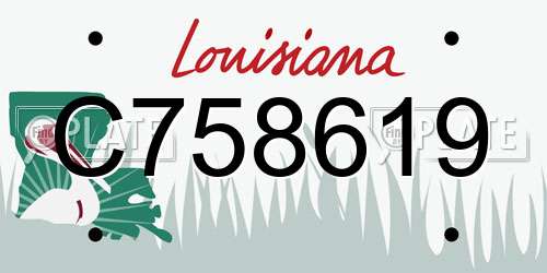 C758619 Louisiana License Plate