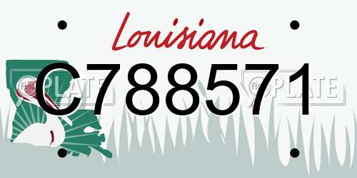 C788571 Louisiana License Plate