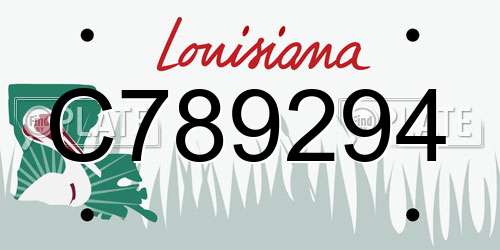 C789294 Louisiana License Plate