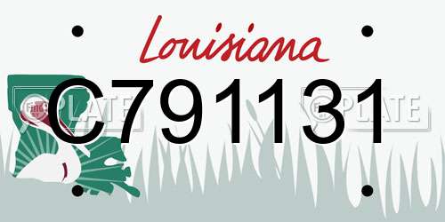C791131 Louisiana License Plate
