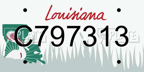 C797313 Louisiana License Plate