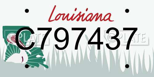 C797437 Louisiana License Plate