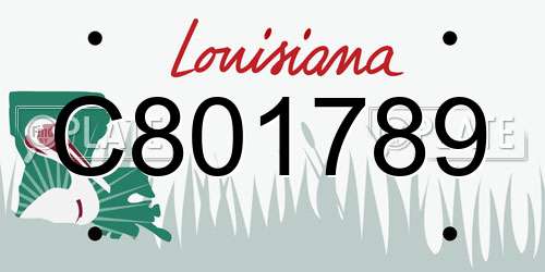 C801789 Louisiana License Plate