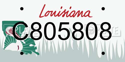 C805808 Louisiana License Plate