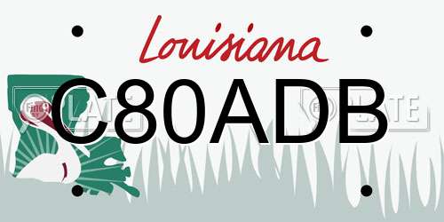 C80ADB Louisiana License Plate