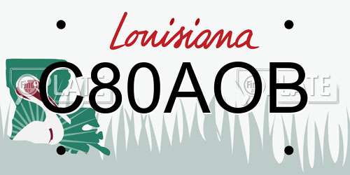 C80AOB Louisiana License Plate