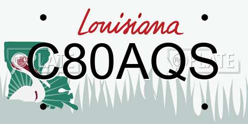 C80AQS Louisiana License Plate
