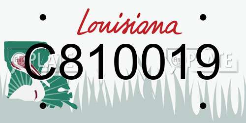 C810019 Louisiana License Plate