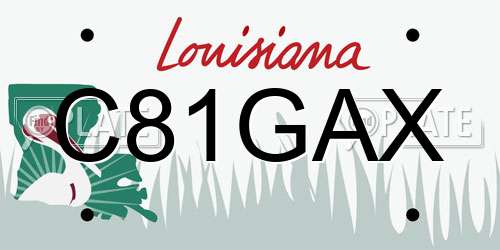 C81GAX Louisiana License Plate