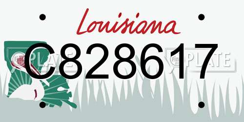 C828617 Louisiana License Plate