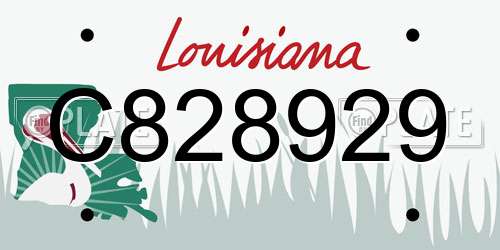C828929 Louisiana License Plate