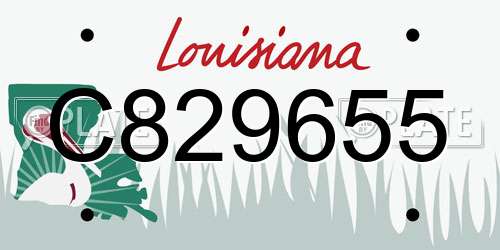 C829655 Louisiana License Plate