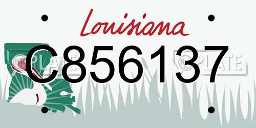 C856137 Louisiana License Plate