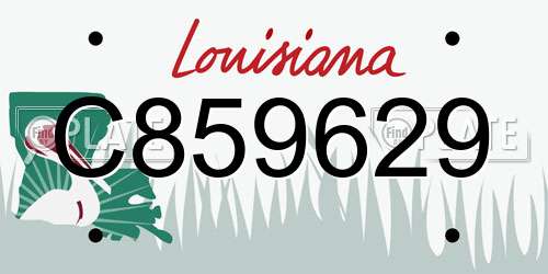 C859629 Louisiana License Plate