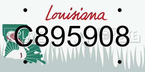 C895908 Louisiana License Plate