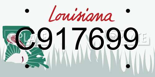 C917699 Louisiana License Plate