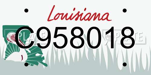 C958018 Louisiana License Plate