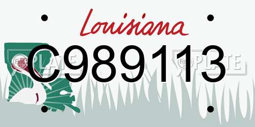 C989113 Louisiana License Plate