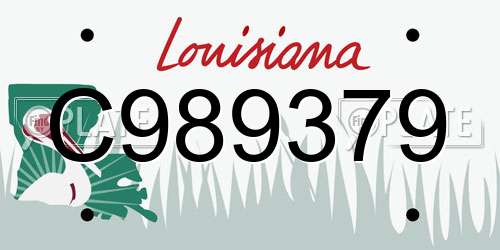 C989379 Louisiana License Plate