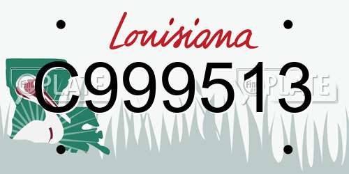 C999513 Louisiana License Plate