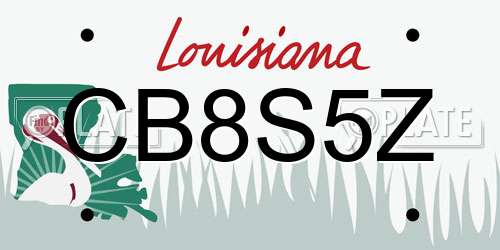 CB8S5Z Louisiana License Plate