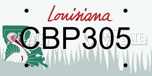 CBP305 Louisiana License Plate