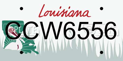 CCW6556 Louisiana License Plate