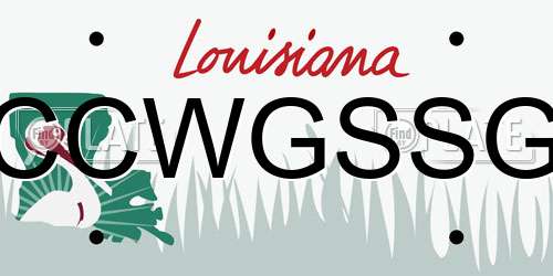CCWGSSG Louisiana License Plate