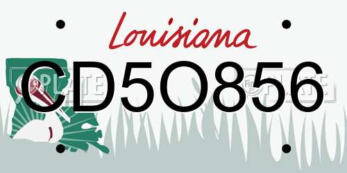 CD5O856 Louisiana License Plate