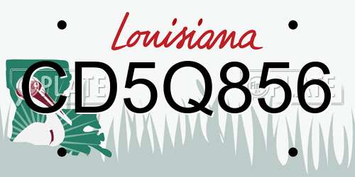 CD5Q856 Louisiana License Plate