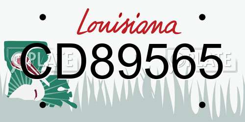 CD89565 Louisiana License Plate