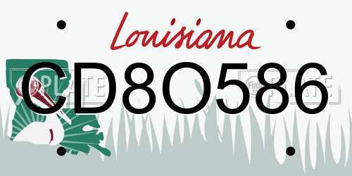 CD8O586 Louisiana License Plate
