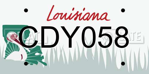 CDY058 Louisiana License Plate
