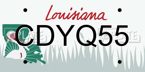 CDYQ55 Louisiana License Plate