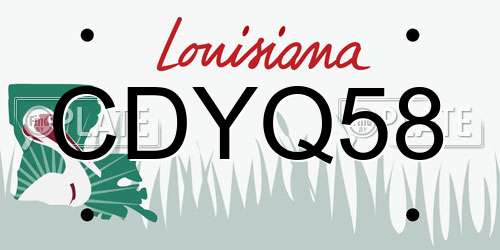 CDYQ58 Louisiana License Plate