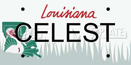 CELEST Louisiana License Plate