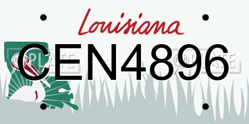 CEN4896 Louisiana License Plate