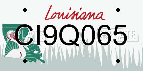 CI9Q065 Louisiana License Plate