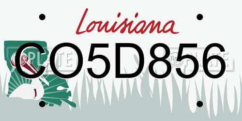 CO5D856 Louisiana License Plate