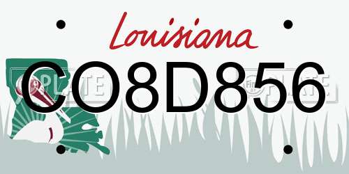 CO8D856 Louisiana License Plate