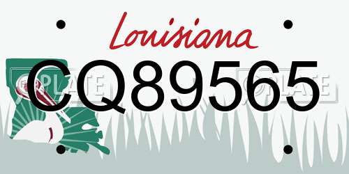 CQ89565 Louisiana License Plate