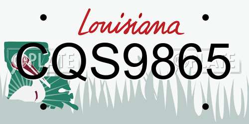 CQS9865 Louisiana License Plate