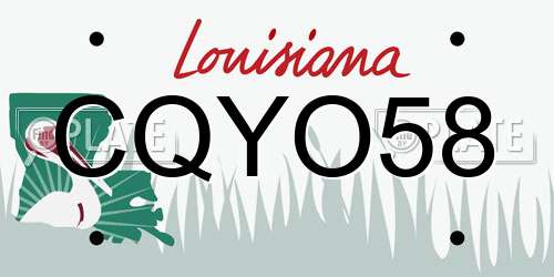 CQYO58 Louisiana License Plate
