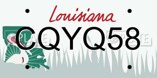 CQYQ58 Louisiana License Plate