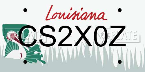 CS2X0Z Louisiana License Plate
