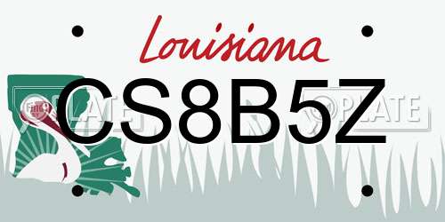 CS8B5Z Louisiana License Plate