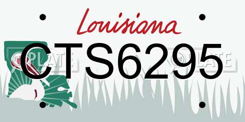 CTS6295 Louisiana License Plate