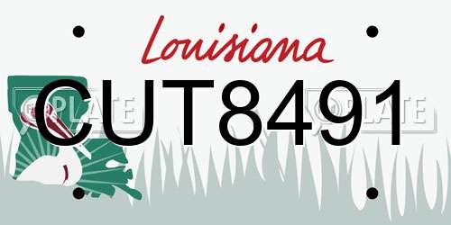 CUT8491 Louisiana License Plate